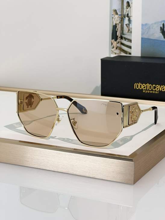 Picture of Roberto Cavalli Sunglasses _SKUfw74777883fw